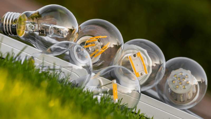 Halogen light clearance bulbs